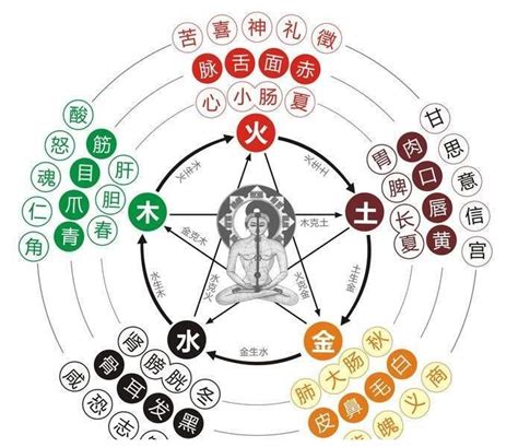 五行多木|雷門易：八字中木多木旺的人有哪些命運特征？